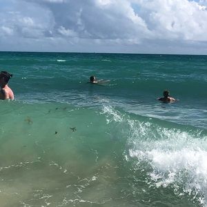 Meet your Posher, Eliana